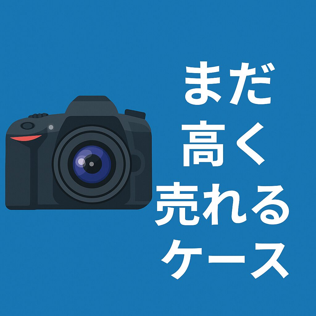 一眼レフが重くて使わない…ミラーレスカメラに移行した人の体験談 